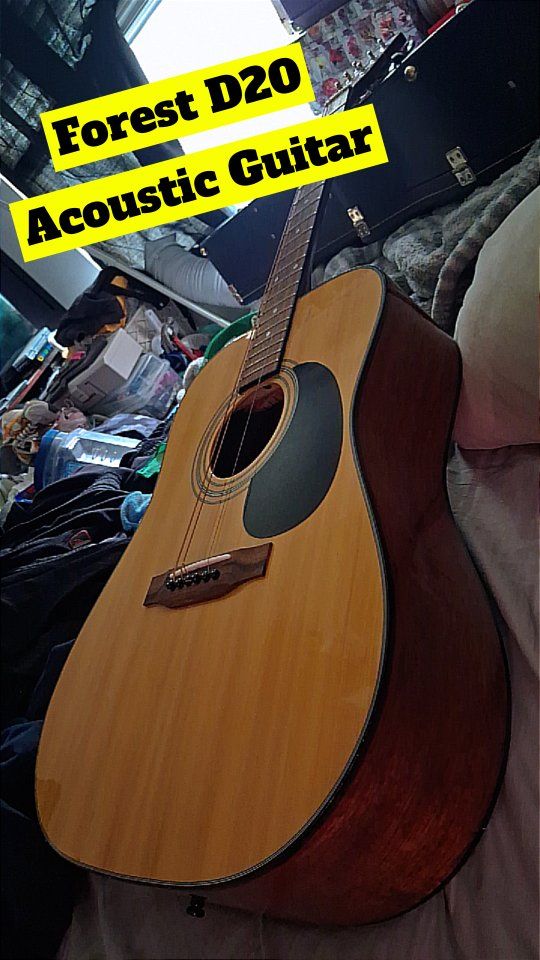 Forest D20 Acoustic Guitar with Hardshell Case - Excellent Condition