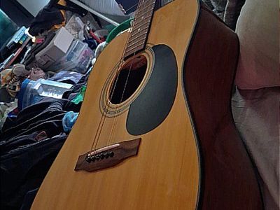 Forest D20 Acoustic Guitar with Hardshell Case - Excellent Condition