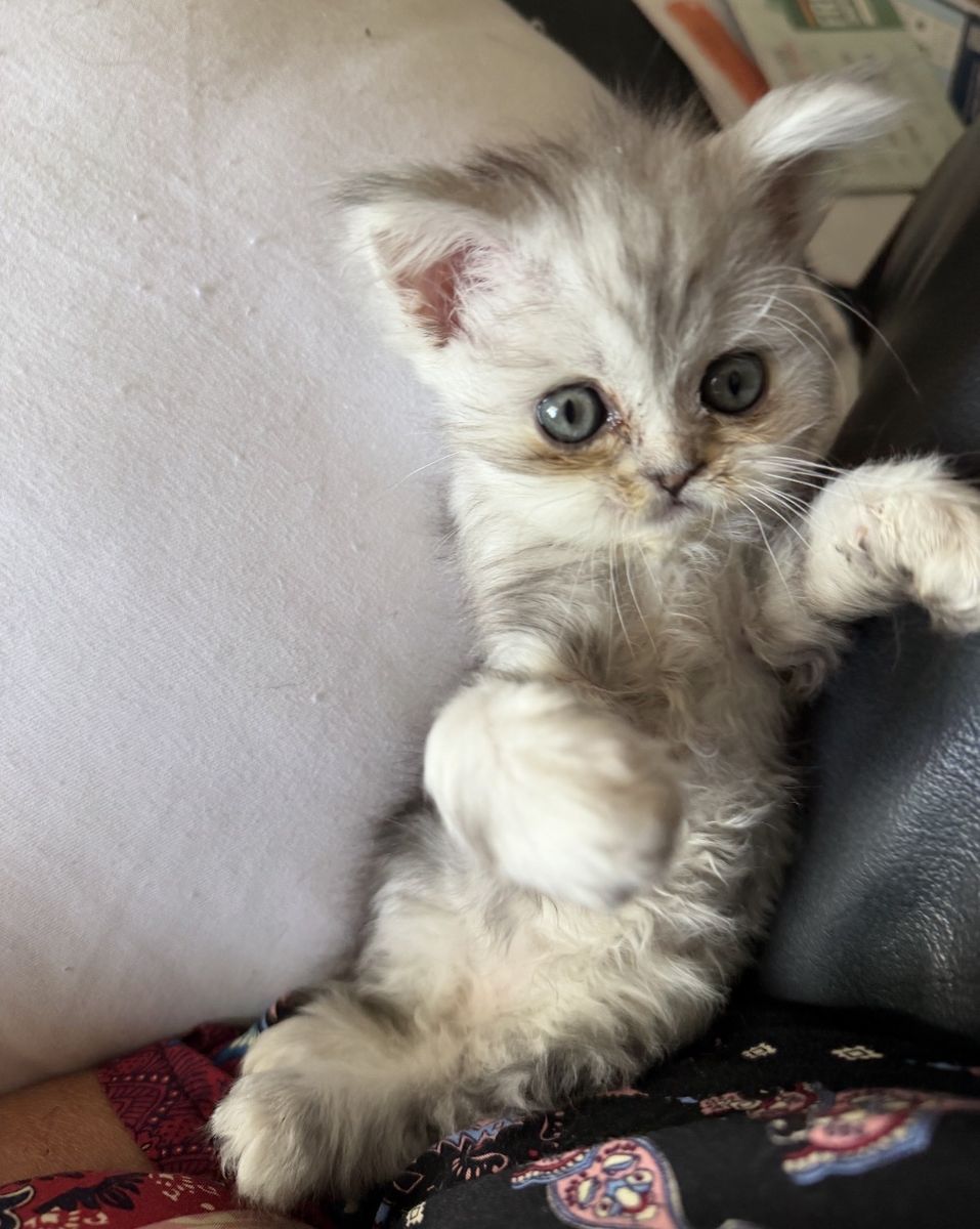 Main image 17