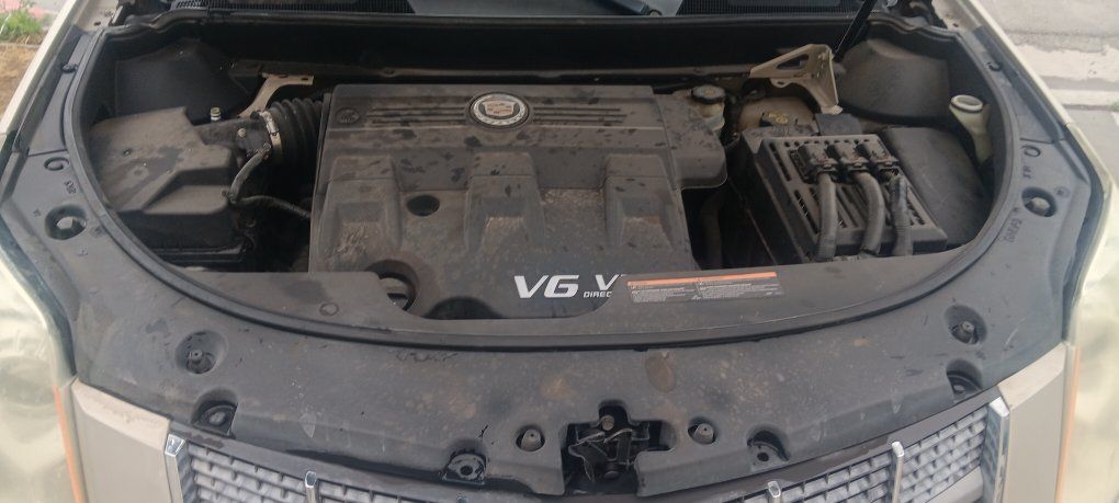 Main image 5