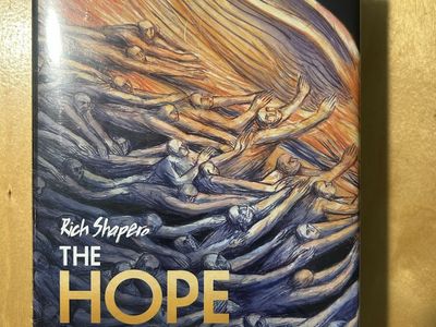 The Hope We Seek by Rich Shapiro