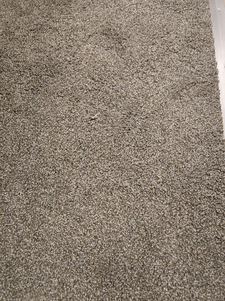Carpet w/pad