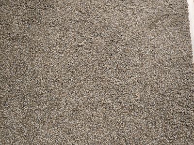 Carpet w/pad