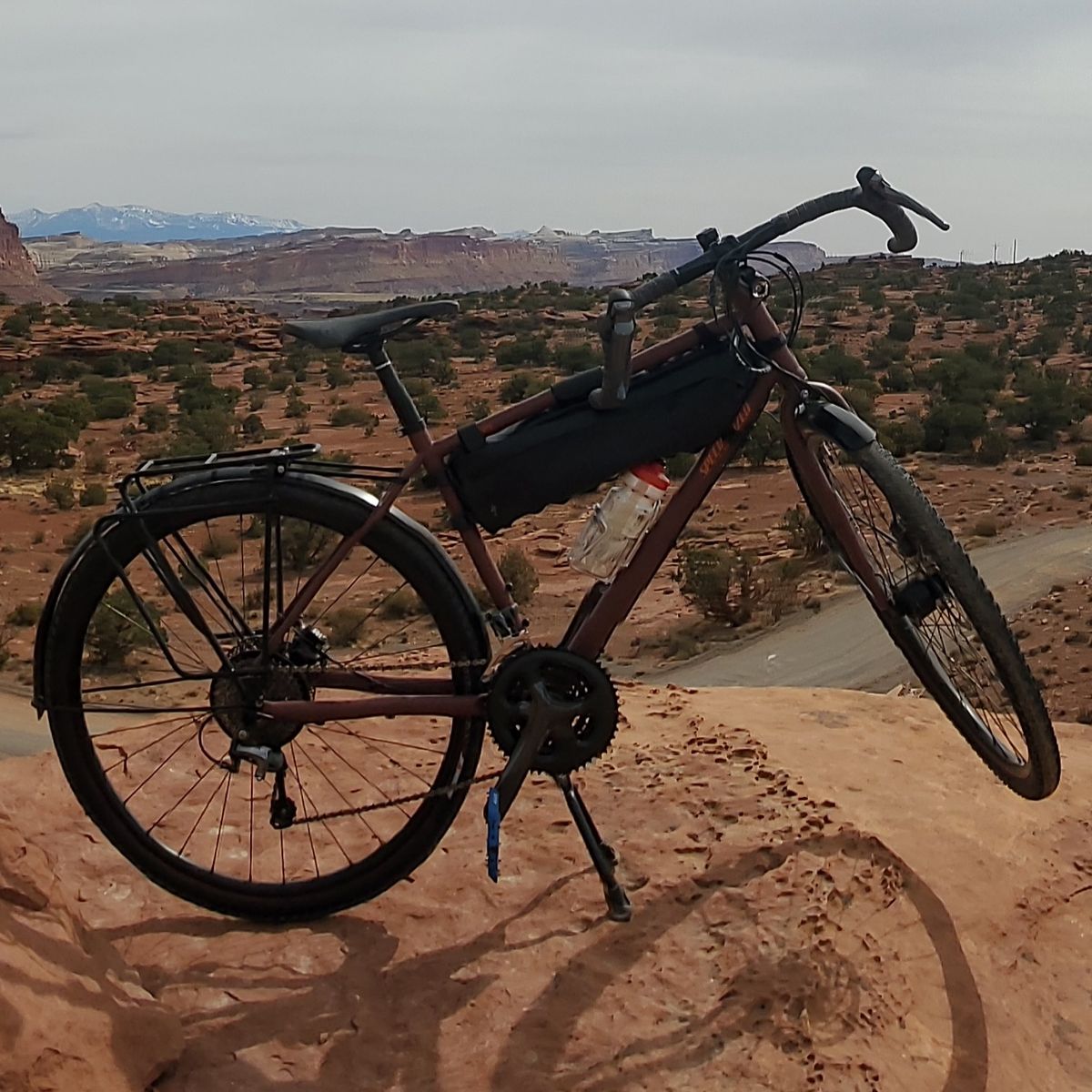 Specialized AWOL Expert 1500 Obo