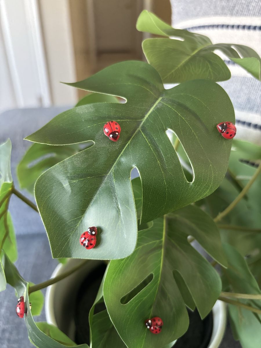 Adorable Micro Ladybug Plant Pet Magnets - 5 pack - Tons Available