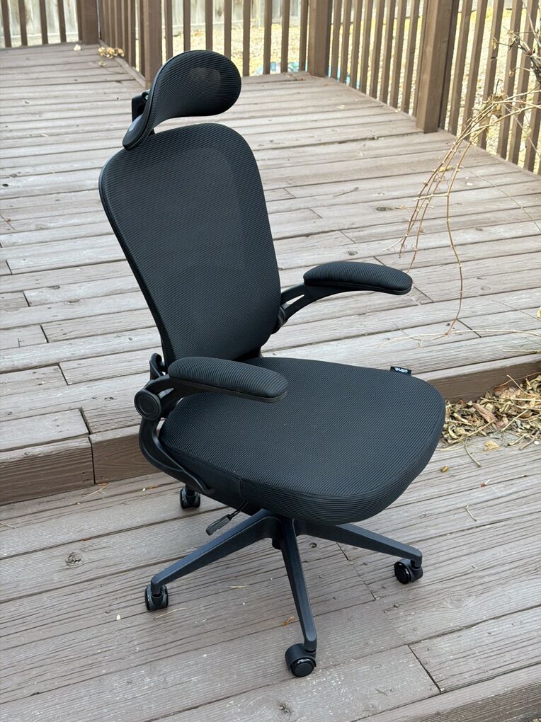 Oline Ergonomic Office Chair With Limbar Support