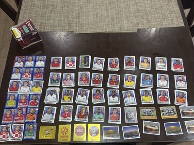 PANINI QATAR 2022
