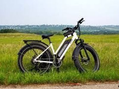Himiway Cruiser Step-thru ebike