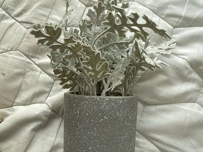 Modern Round Wall Shelf + Faux Plant Decor Bundle