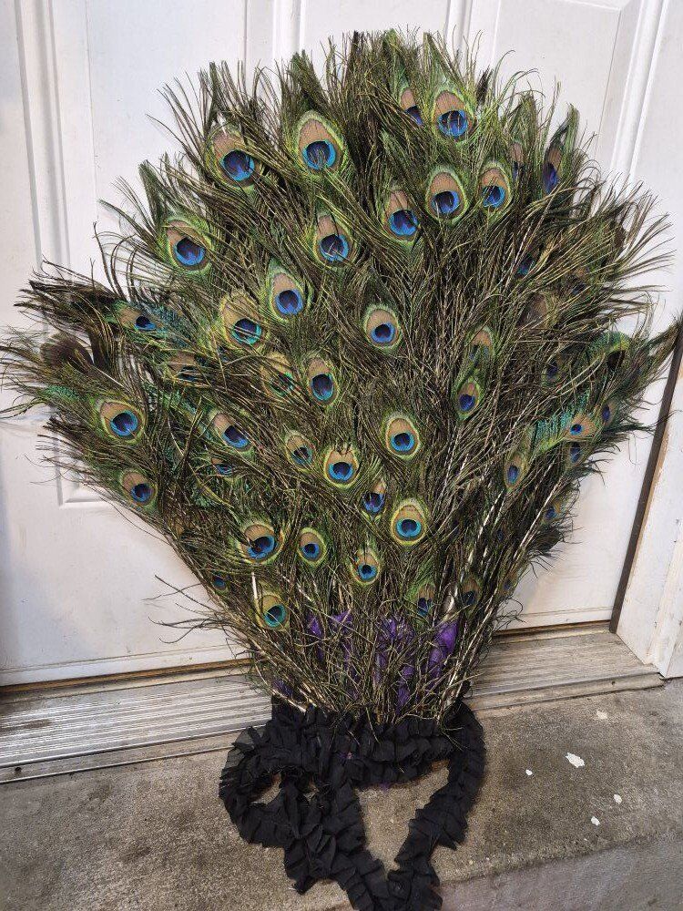 Peacock tail / fan