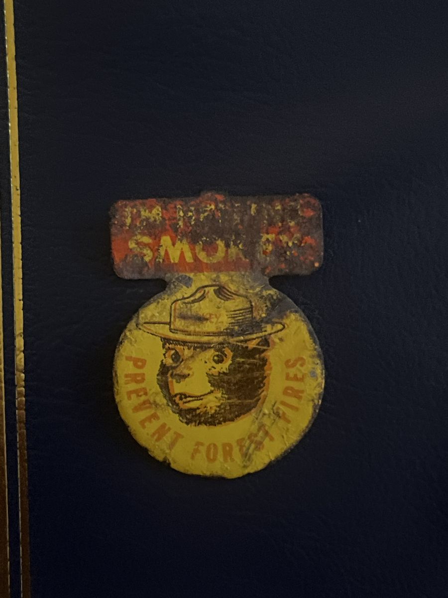 Vintage Smokey Bear Prevent Forest Fires Metal Pin Badge with Smokey Hat - Collectible Memorabilia