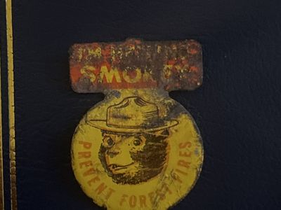 Vintage Smokey Bear Prevent Forest Fires Metal Pin Badge with Smokey Hat - Collectible Memorabilia