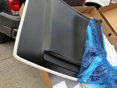 Dodge challenger demon hood
