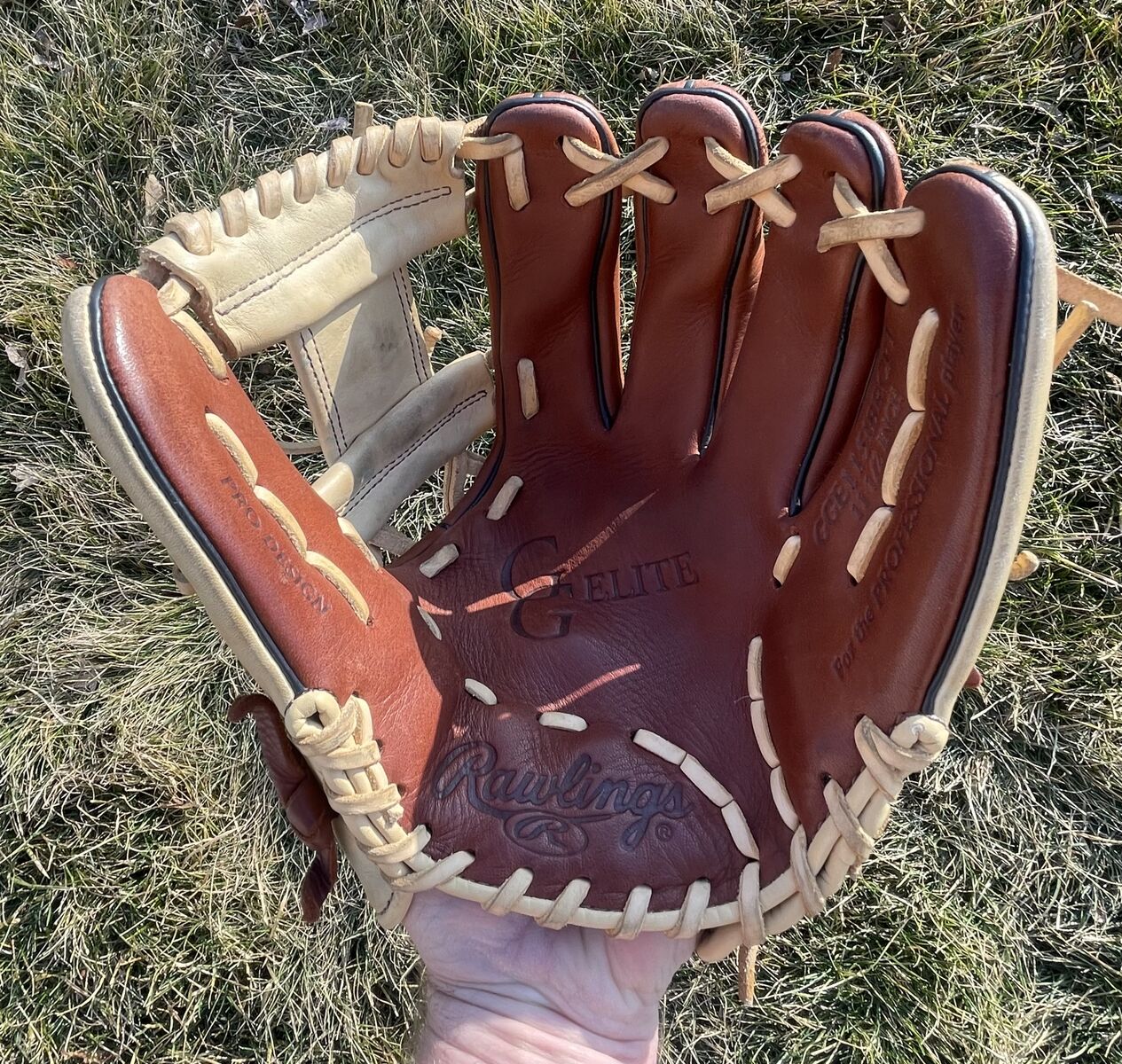 Rawlings Gold Glove Elite 11.5 in. Baseball Glove