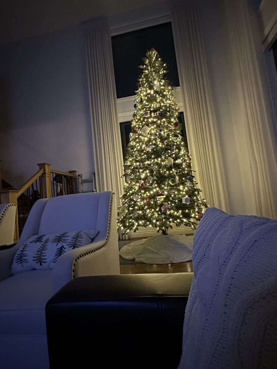 12’ Balsam Hill Fraser Fir