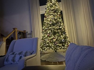 12’ Balsam Hill Fraser Fir