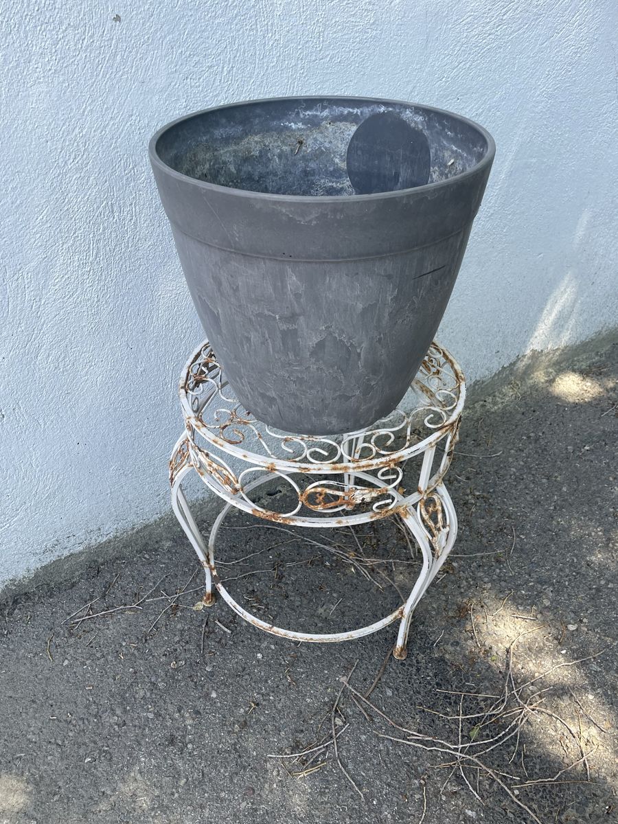 Main image 4