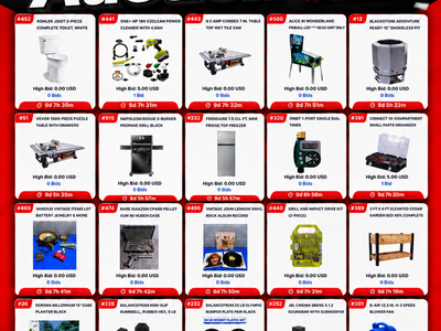 Massive Liquidation Auction: Tools, Electronics, Bikes & More! Ends June 1st