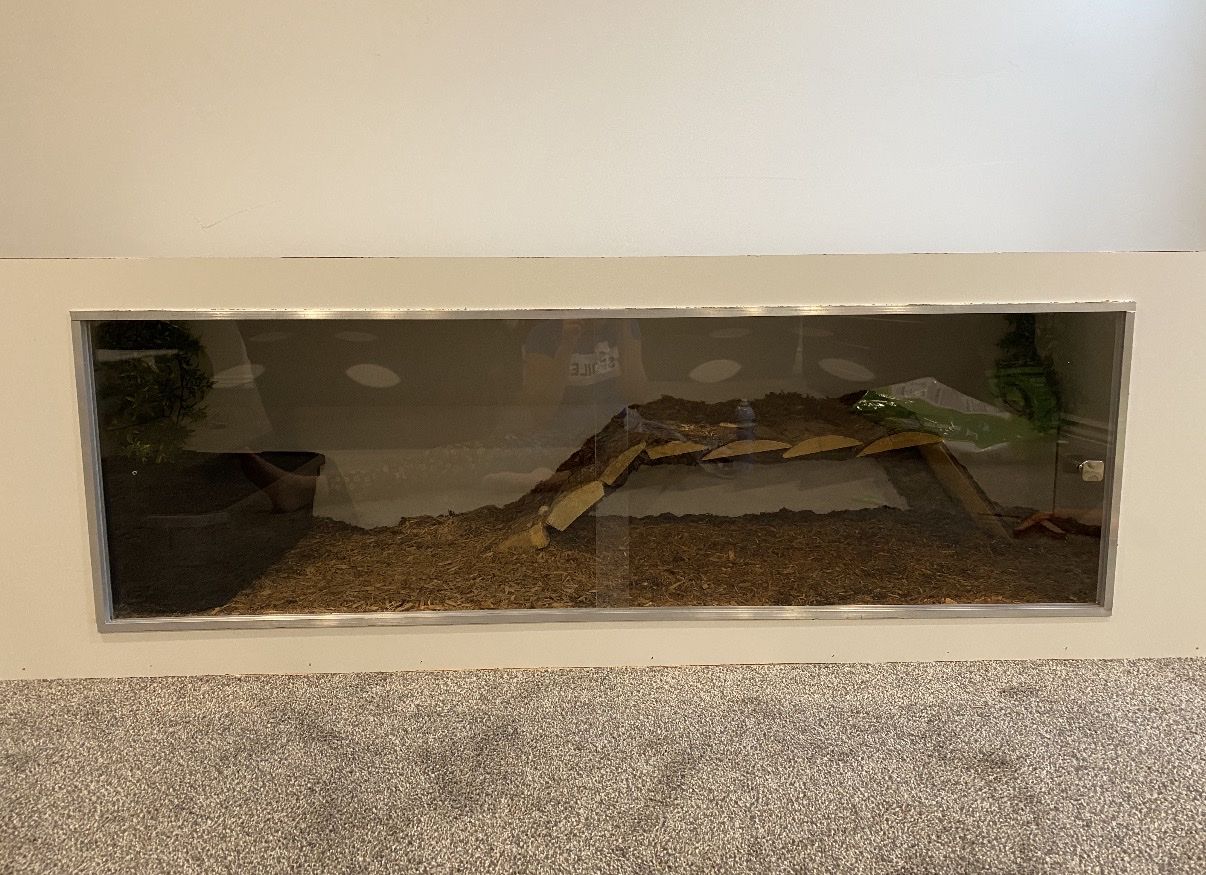 Main image 7