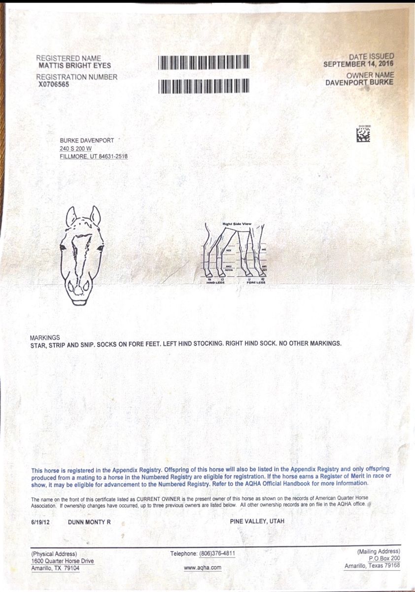 Main image 2