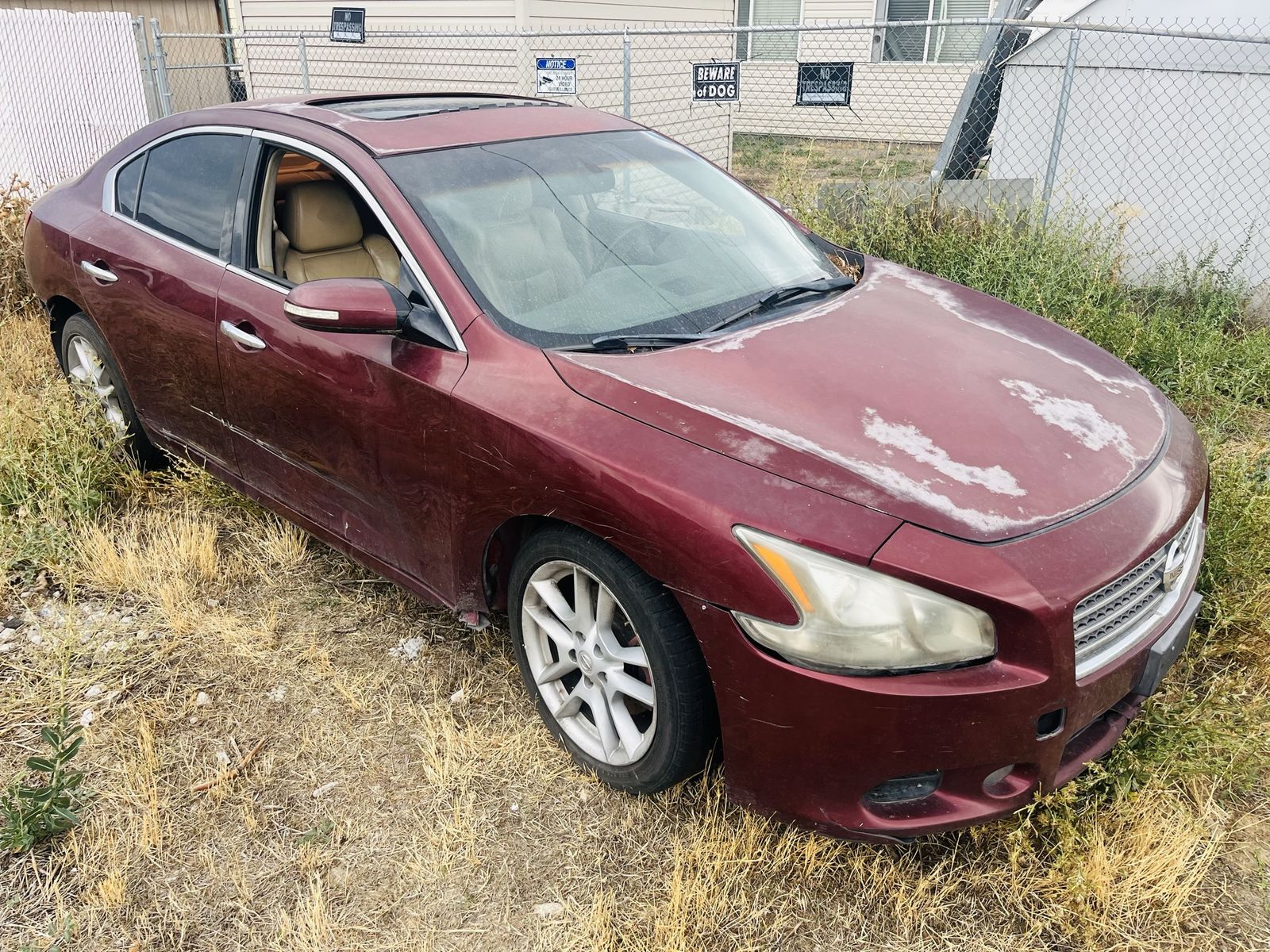 2010 Nissan Maxima 3.5 V6
