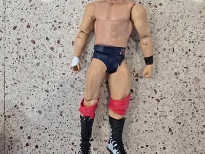 Mattel WWE Scott Dawson Hall of Champions