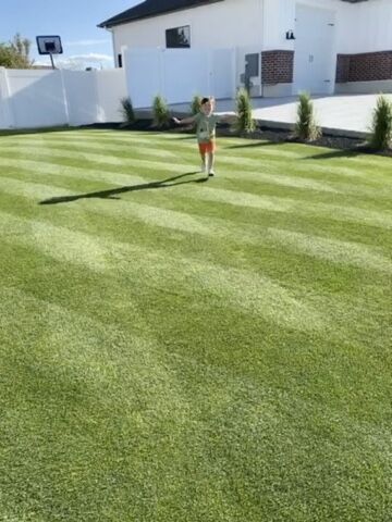 Lawn Leveling Fall Scheduling