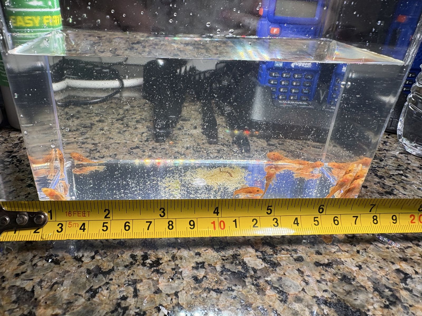 Super red plecos