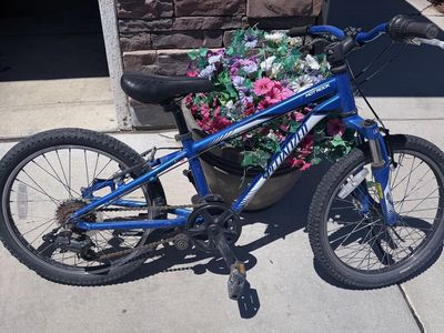 Specialized Hotrock 20" Kids Mountain Bike - Blue Hardtail 6-Speed