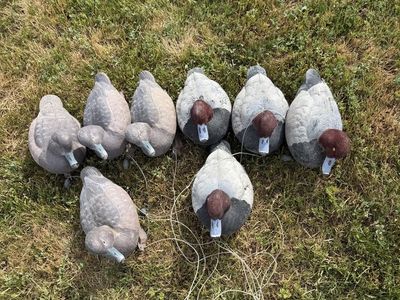 8 GHG Redhead Decoys