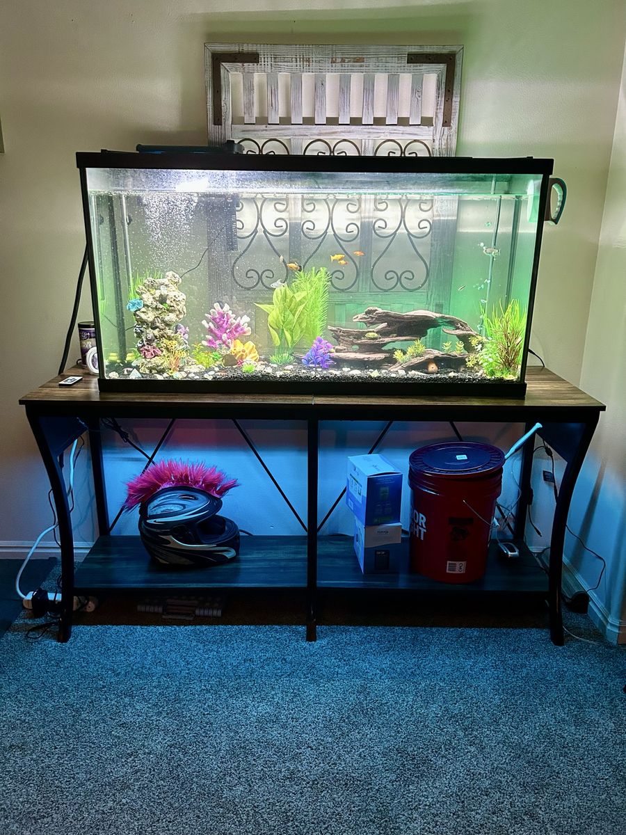 65 Gal fish tank & Table, Fish and accessories