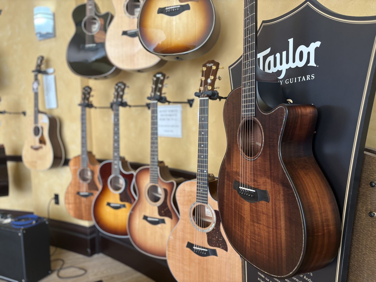 NEW Taylor Guitars at Riverton Music Sandy