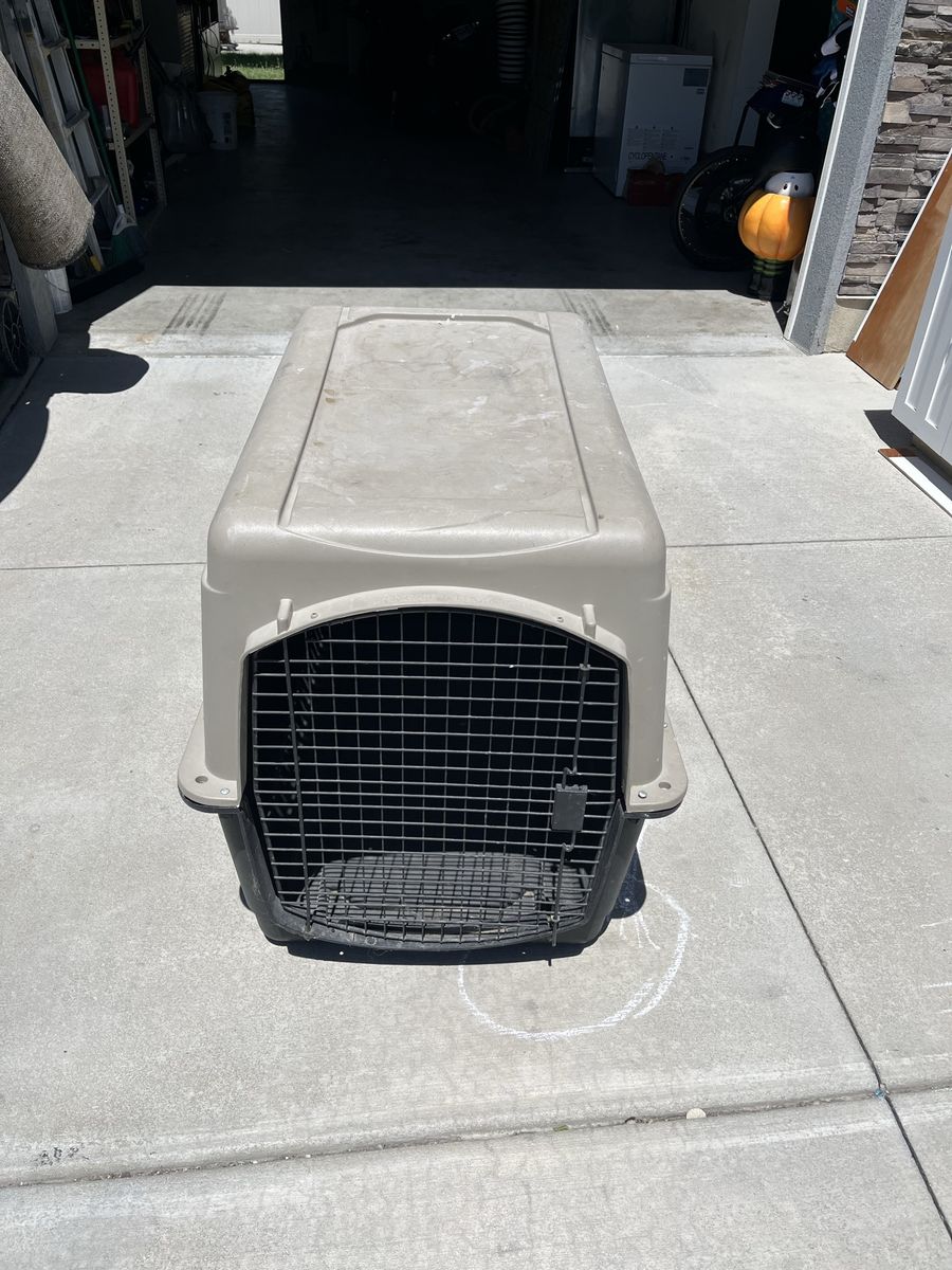 Dog kennel