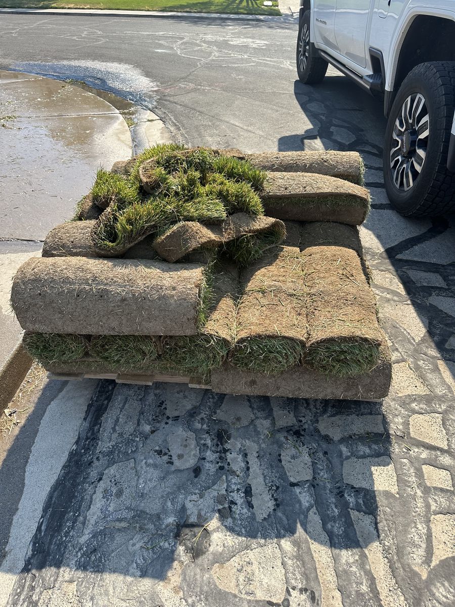 Sod