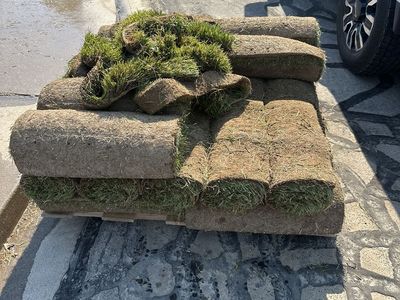 Sod