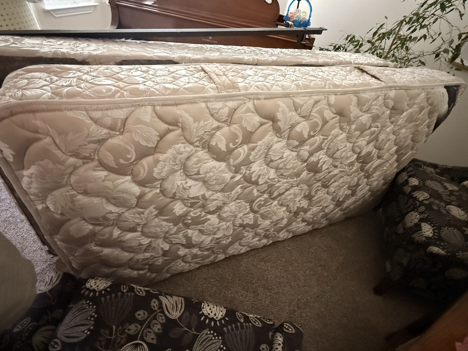 Twin Bed - Mattress, box spring and frame