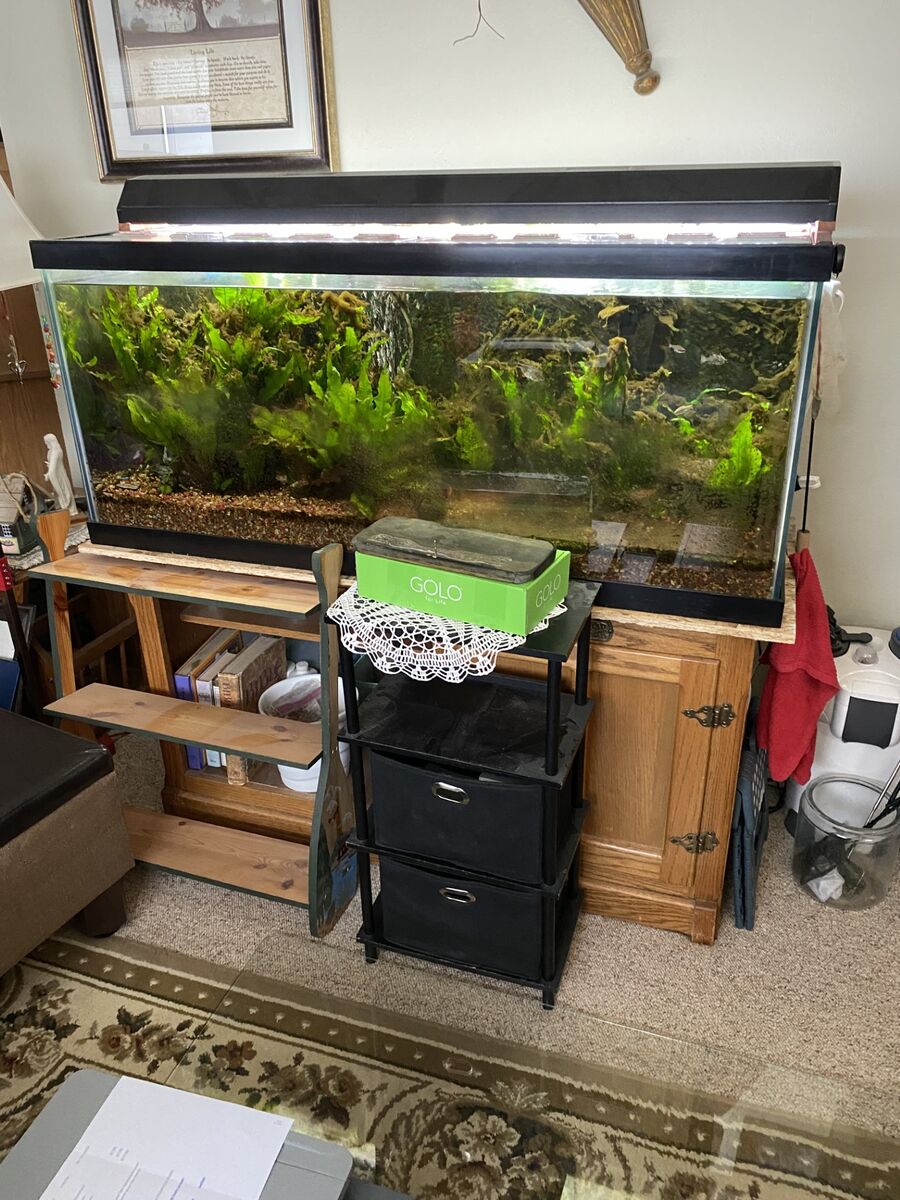 75 gallon