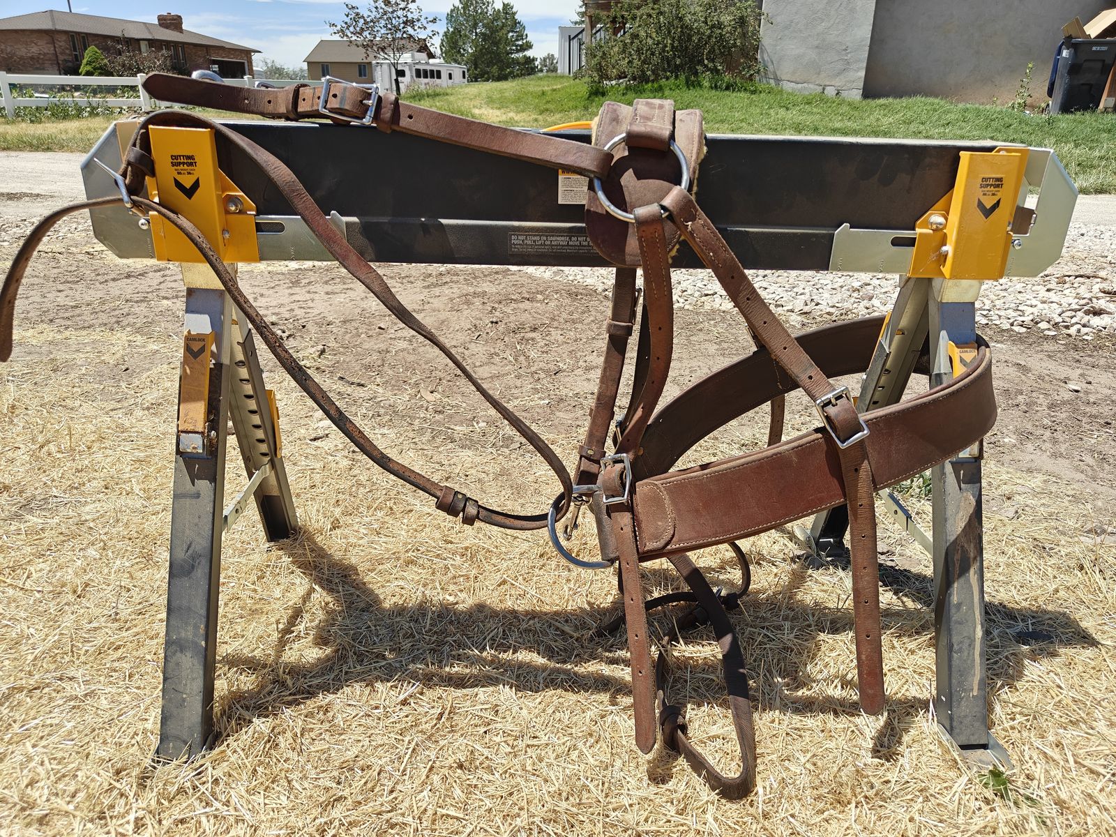 Mule Breeching