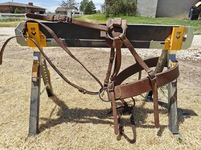 Mule Breeching