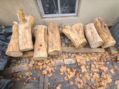 Cottonwood Stumps, $15.00 each