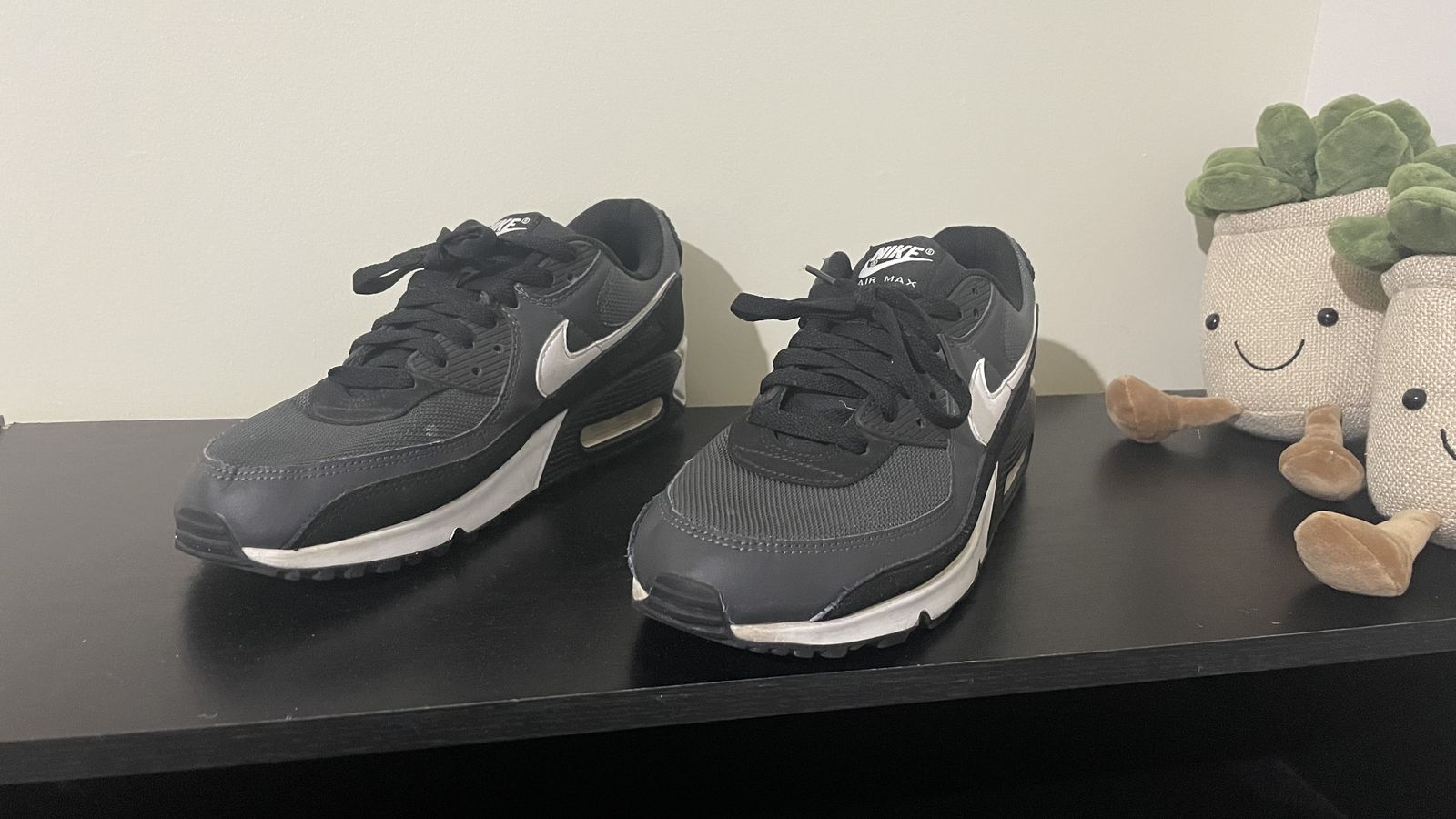 Nike Air Max Shoes (size 10.5)