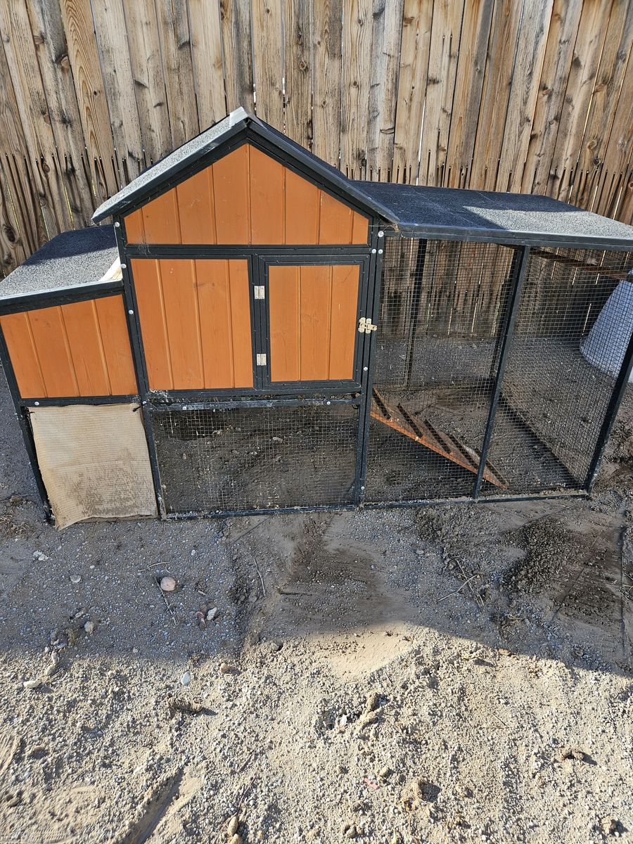 Duck, Chicken Coop for sale