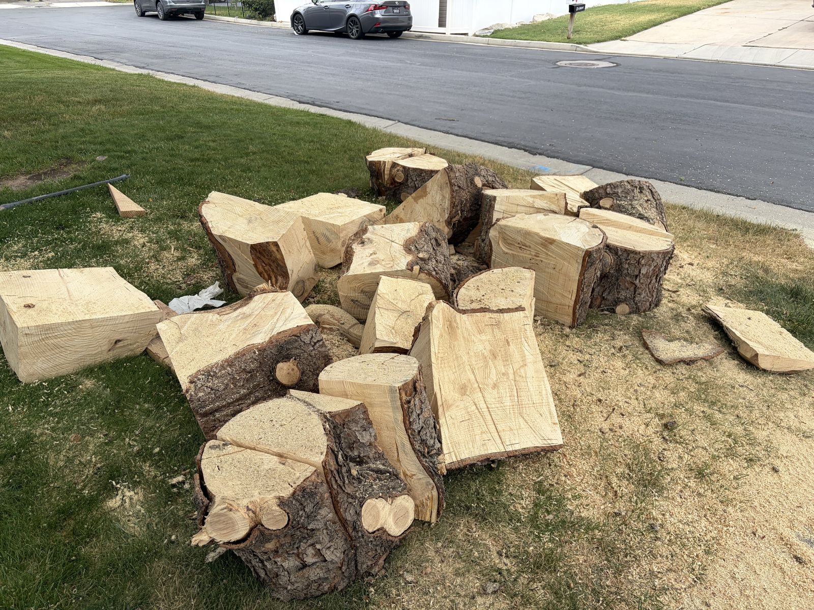 Firewood (FREE)