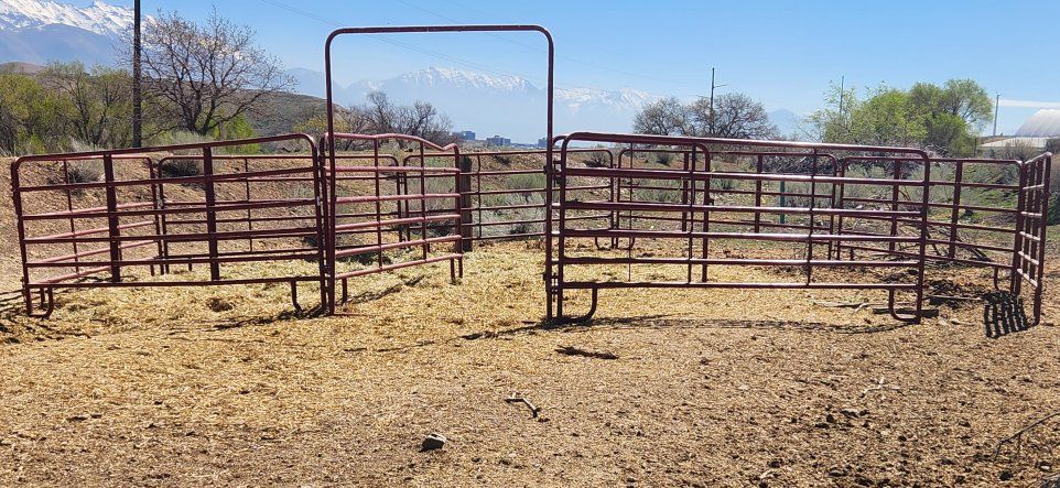 Tartar round pen horses / cattle panels