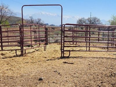 Tartar round pen horses / cattle panels