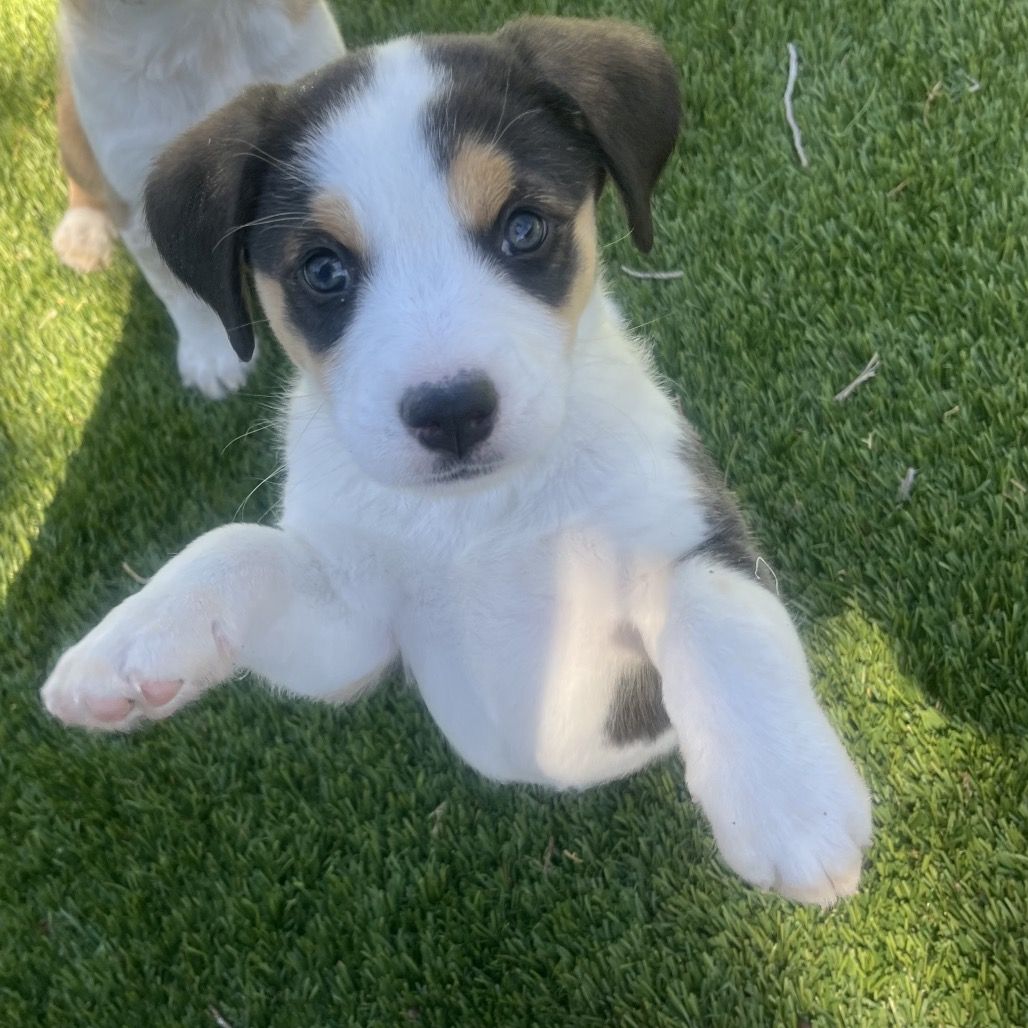 Hello my name is Maree