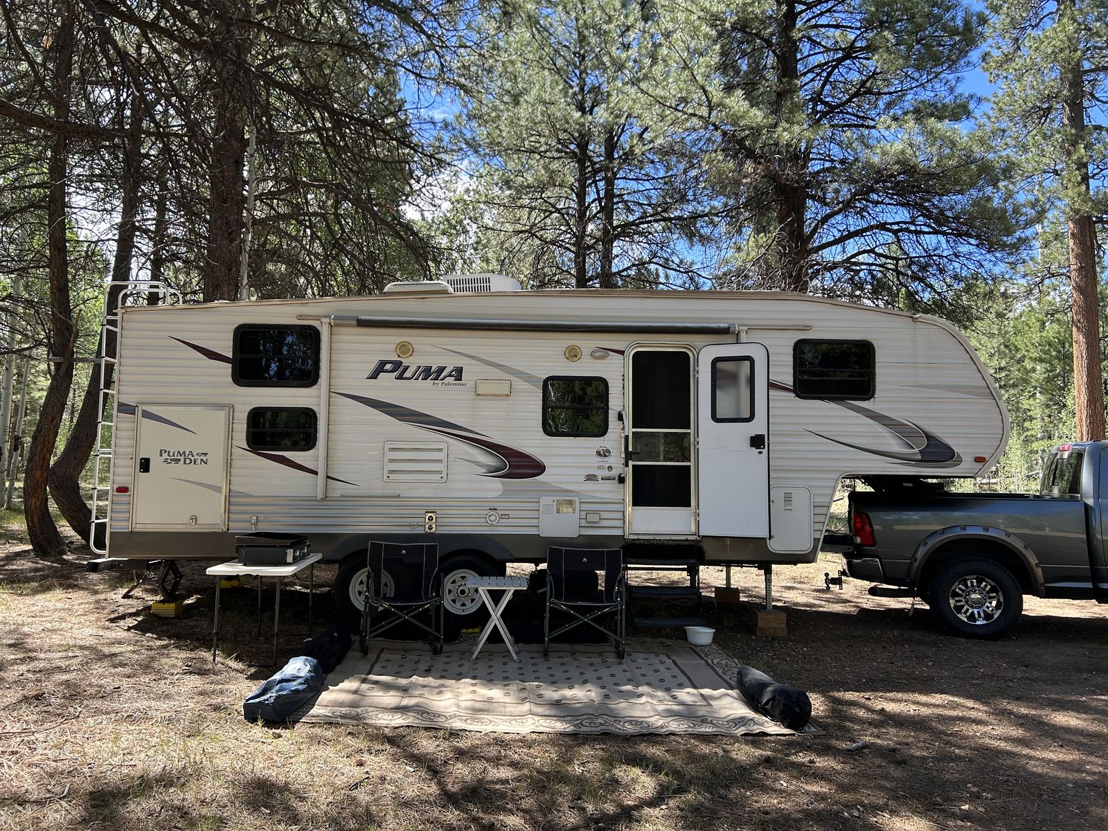 Palomino Puma w/Bunks