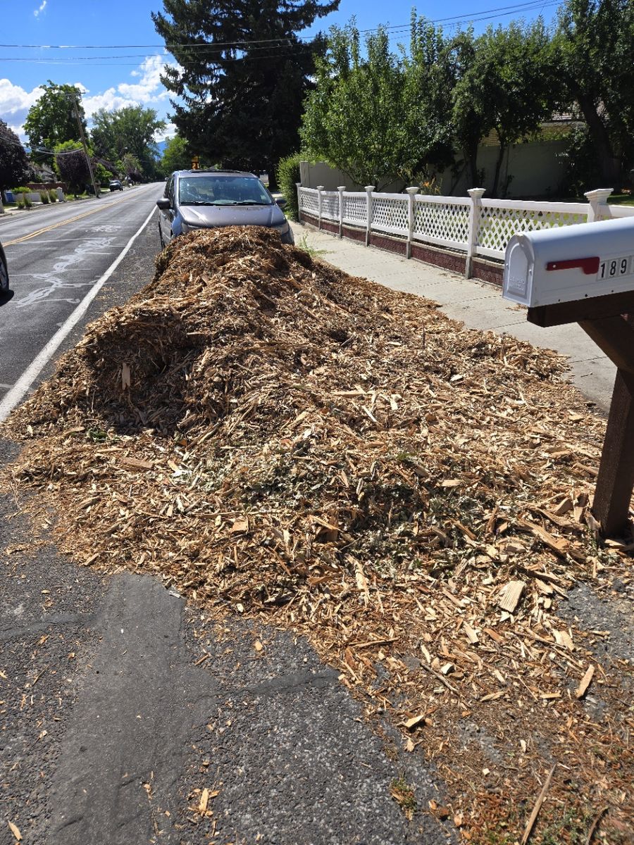 Free Woodchips / Mulch