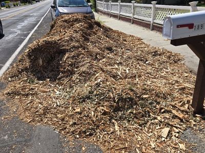 Free Woodchips / Mulch