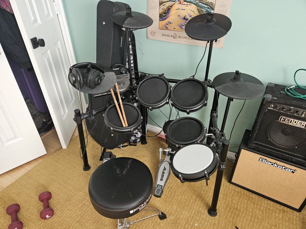 Alesis Nitro Mesh Kit Electronic Drum Set - Complete 8-Piece Kit with Drum Sticks & Seat
Tom and Crash Expansion
